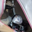 정프로골프아카데미 이미지