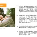 프로젝트디테일 이미지