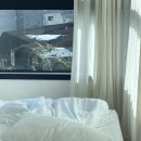 블리크스틸 네이버블로그