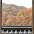 스테이 동물병원 이미지