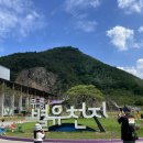 산유천 | 강원도 동해 아이와 가볼만한 곳 추천 '무릉별 유천지', 라벤더축제 정보 및 꿀팁, 준비물 안내