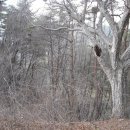 순천용오름마을 이미지