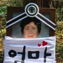 신기수목장 이미지