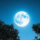 규창이네 이미지