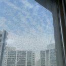 고양대로1384번길 | 아파트 유리창 청소 업체 서울 일산 윈도우프렌즈