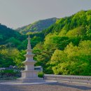 삼정사 이미지