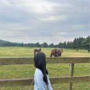 엄다목장 이미지