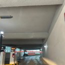 수영냉삼 | 부산 명지 고기집 수영냉삼 명지직영점, 솔직후기