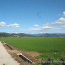 장흥 5리 이미지