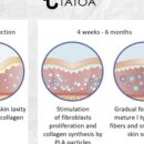 동백피부과의원 이미지