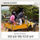 병아리김밥광명 | 광명 데이트 게으른 농부 아이와 가족 농촌 체험