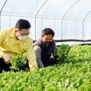 3원-天,地,人 이미지