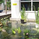 멍아지트 이미지