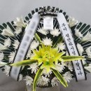 원주꽃집하늘정원