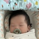 엄니밥줘 이미지