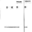 푸른공인번역행정사 이미지