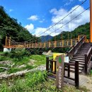 9/9(수)파로호가 숨겨놓은 오지의 비밀 숲길 해산령 비수구미 트레킹 이미지