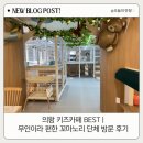 무인8 | 의왕 키즈카페 추천 | 엄마들 모임 장소로 딱!아이 8명데리고 꼬마노리 무인키즈카페 이용후기