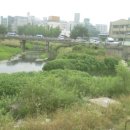 산본천 이미지