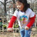 사단법인 한국숲유치원협회
