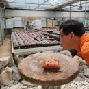 학진농장 이미지