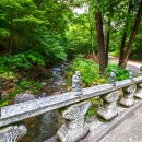 태안사계곡 이미지