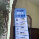 도그다움 | 동탄 대형 애견카페 도그다움 강추