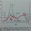 ★뿌리의 생장 &amp; 수목이식시기 이미지