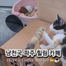 커피먹고가세 이미지