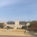 고려대학교 네이버블로그
