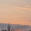 이엄이와 지엄이 이미지