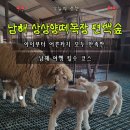 설천면055 | 남해양떼목장 남해가볼만한곳 추천｜남해상상양떼목장편백숲 가족체험 후기