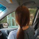 수원-0168 이미지