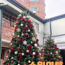 플루토 | 수원 영통 크리스마스 카페 플루토플루토X언덜