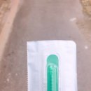 포항중앙동물병원 이미지