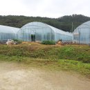 호박골농장 이미지