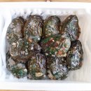 완도참전복 이미지