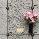 강원장의사 이미지