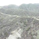 트윈목장 이미지