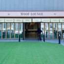 smile애견미용 | 경기도/의정부 자정까지하는 파스타맛집 인조잔디 애견운동장 신상 애견카페 “우프라운지”