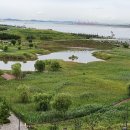 배곧생명공원 이미지