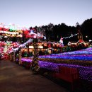 (12/1)크리스마스 리스 만들기 이미지