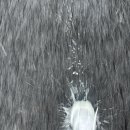 결혼개방소통운동 이미지