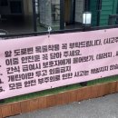 멍아일랜드 이미지