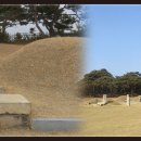 영신군 이이묘 이미지