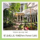 태국 치앙마이 올드타운 펀 포레스트 카페 Fern Forest Cafe 초록 정원뷰 가까운 가성비 게스트하우스까지