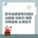 행복드림복지재단 영농조합법인 | [파란천사 서포터즈 10기] 2024년 한 해동안 한국새생명복지재단을 도와주신 기부업체를 소개합니다✨