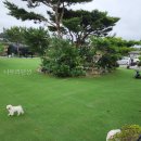 나우리펜션 | 나우리펜션 자연 속 야외공간이 인상적이었어요