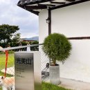 광미 | 인천 강화도 반려동물 동반 카페 광미산 방문 후기