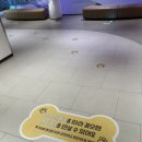 코코스퀘어 이미지